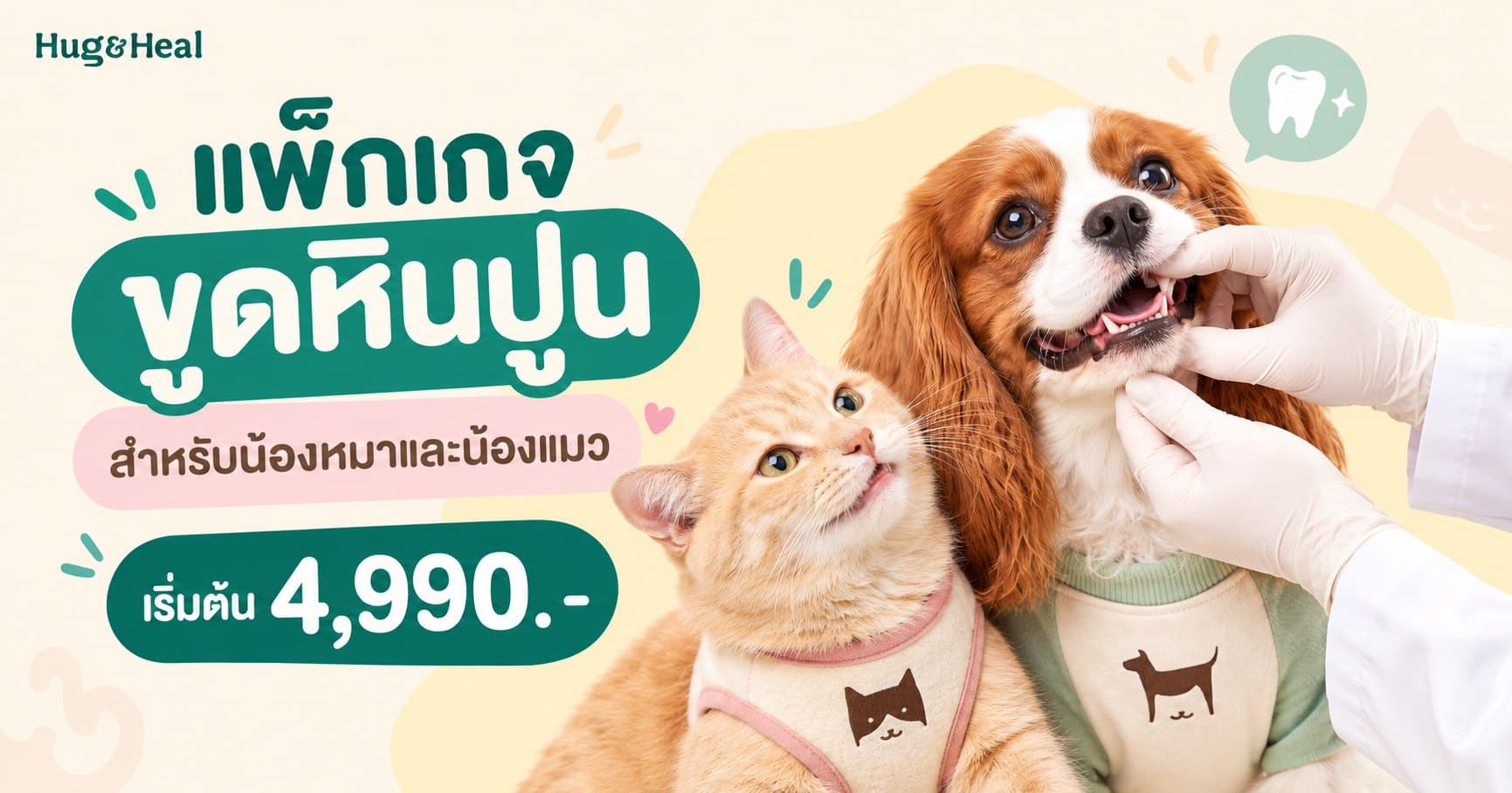 ภาพโปรโมชั่นแพ็กเกจขูดหินปูนของ Hug & Heal Pet Hospital สำหรับน้องหมาและน้องแมว ประจำเดือนตุลาคม 2569