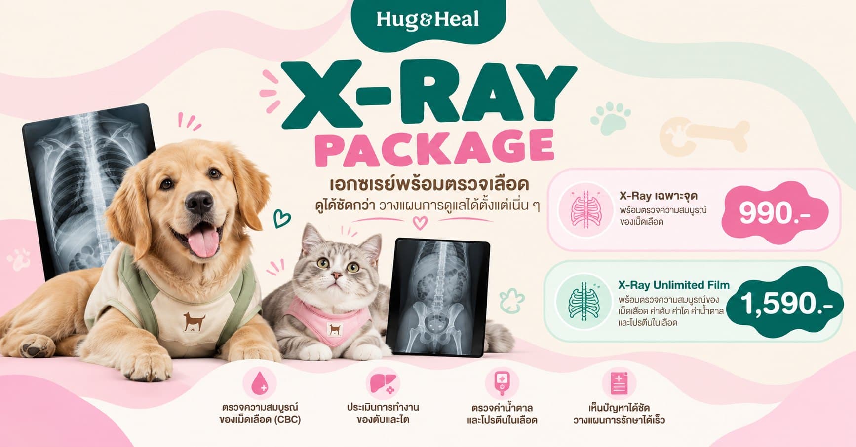 ภาพแพ็กเกจ X-Ray ของ Hug & Heal สำหรับตรวจจุดต่าง ๆ ของร่างกายน้องหมาและน้องแมว