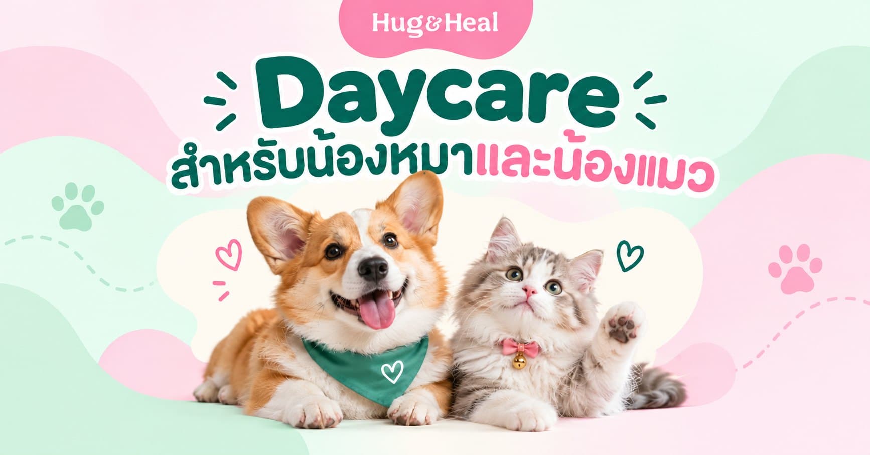 ภาพอัตราค่าบริการ Daycare และ Boarding ของ Hug & Heal สำหรับน้องหมาและน้องแมว