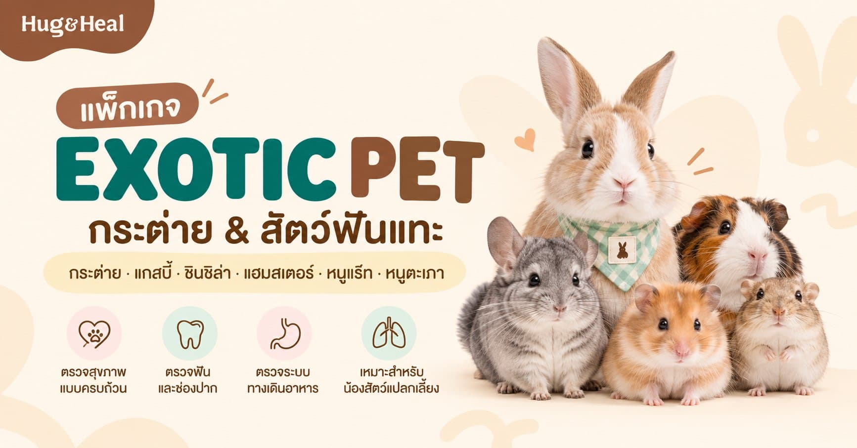 ภาพแพ็กเกจตรวจสุขภาพน้องกระต่ายและสัตว์ฟันแทะของ Hug & Heal