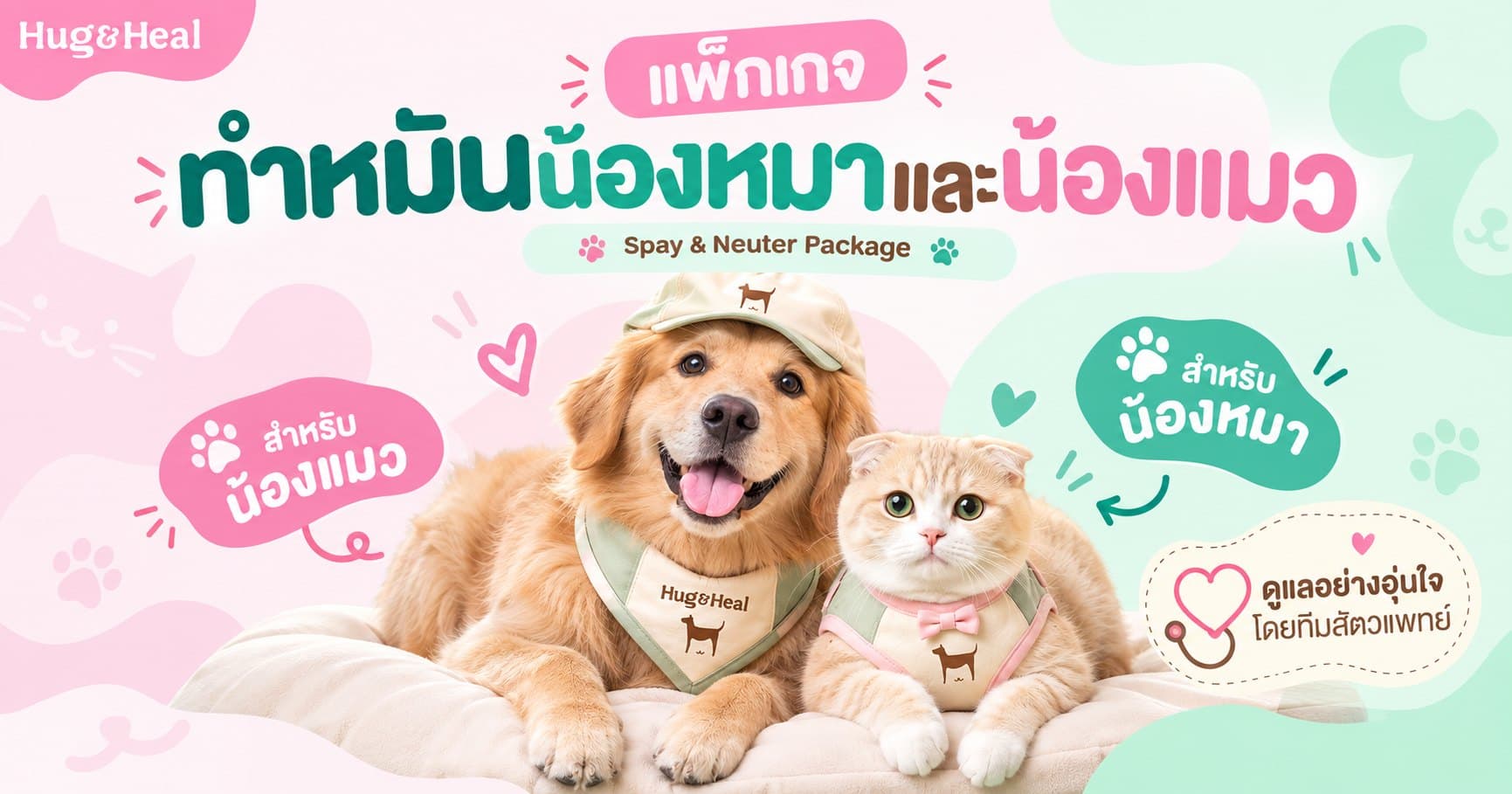 ภาพแพ็กเกจทำหมันของ Hug & Heal สำหรับน้องหมาและน้องแมว