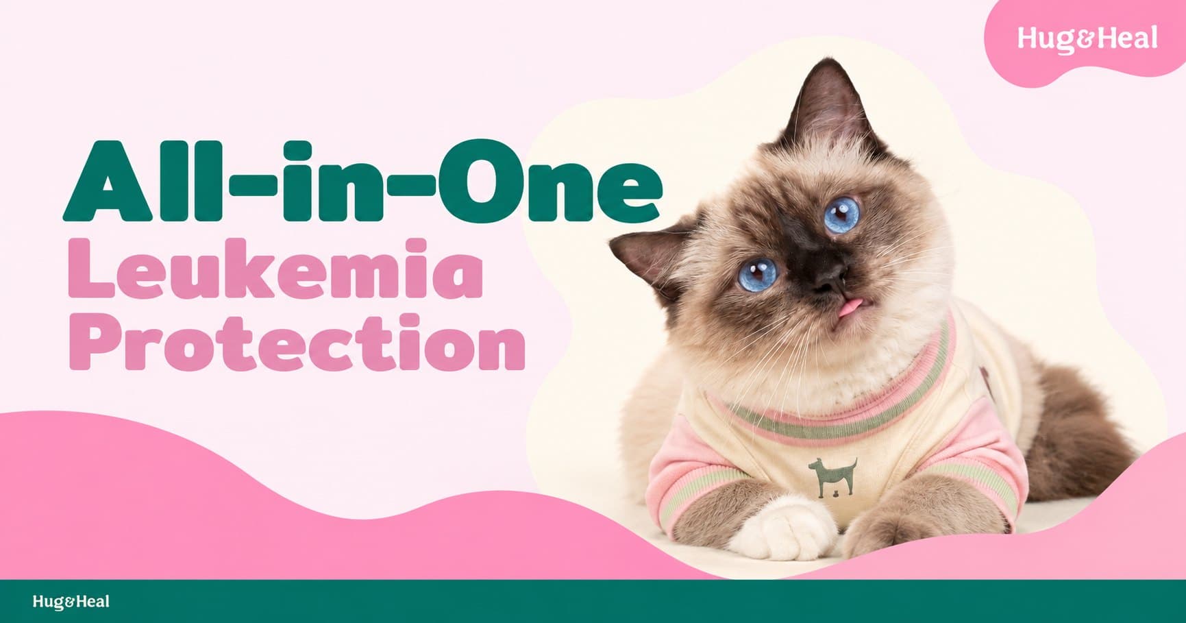 ภาพแพ็กเกจ All-in-One Leukemia Protection ของ Hug & Heal พร้อมแมวและราคา 1,890 บาท