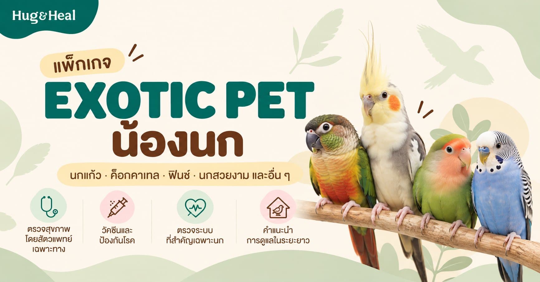 ภาพแพ็กเกจตรวจสุขภาพน้องนกของ Hug & Heal สำหรับนกแก้ว ค็อกคาเทล หงส์หยก และฟินช์